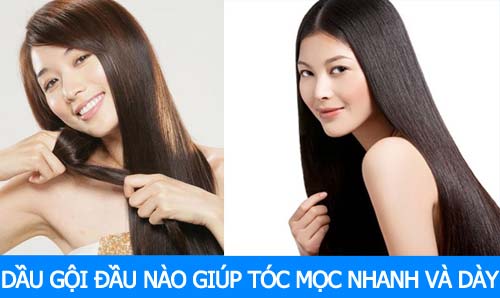 loại dầu gội đầu nào giúp tóc mọc nhanh và dày bạn có biết